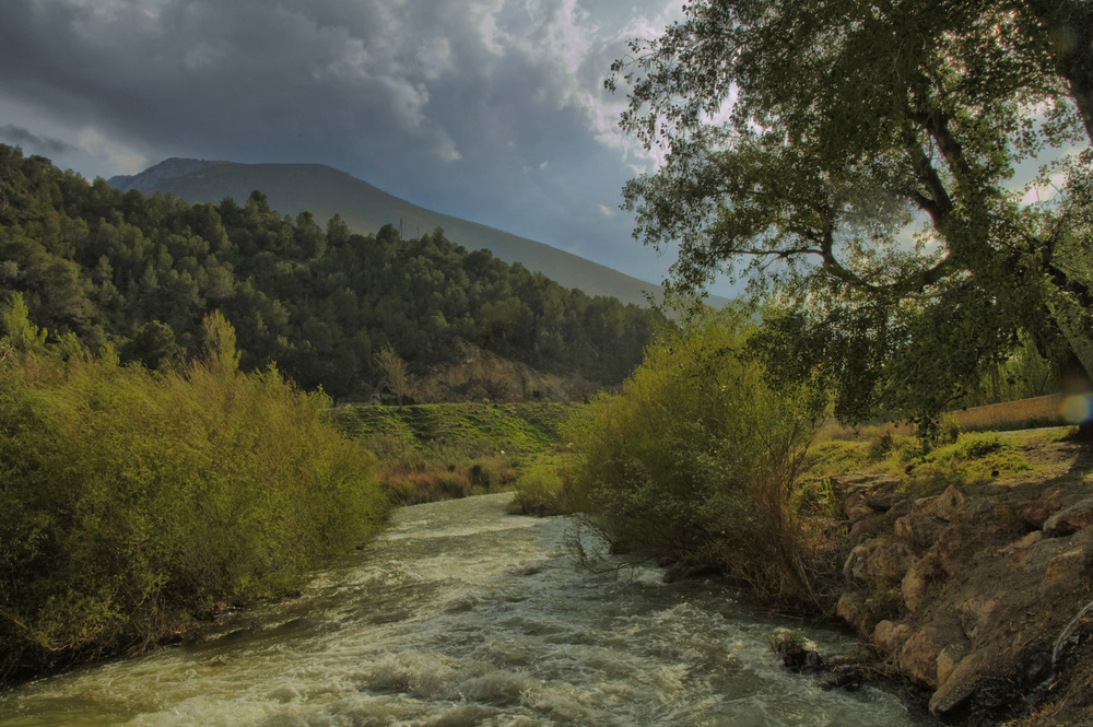 RIO GUADALFEO