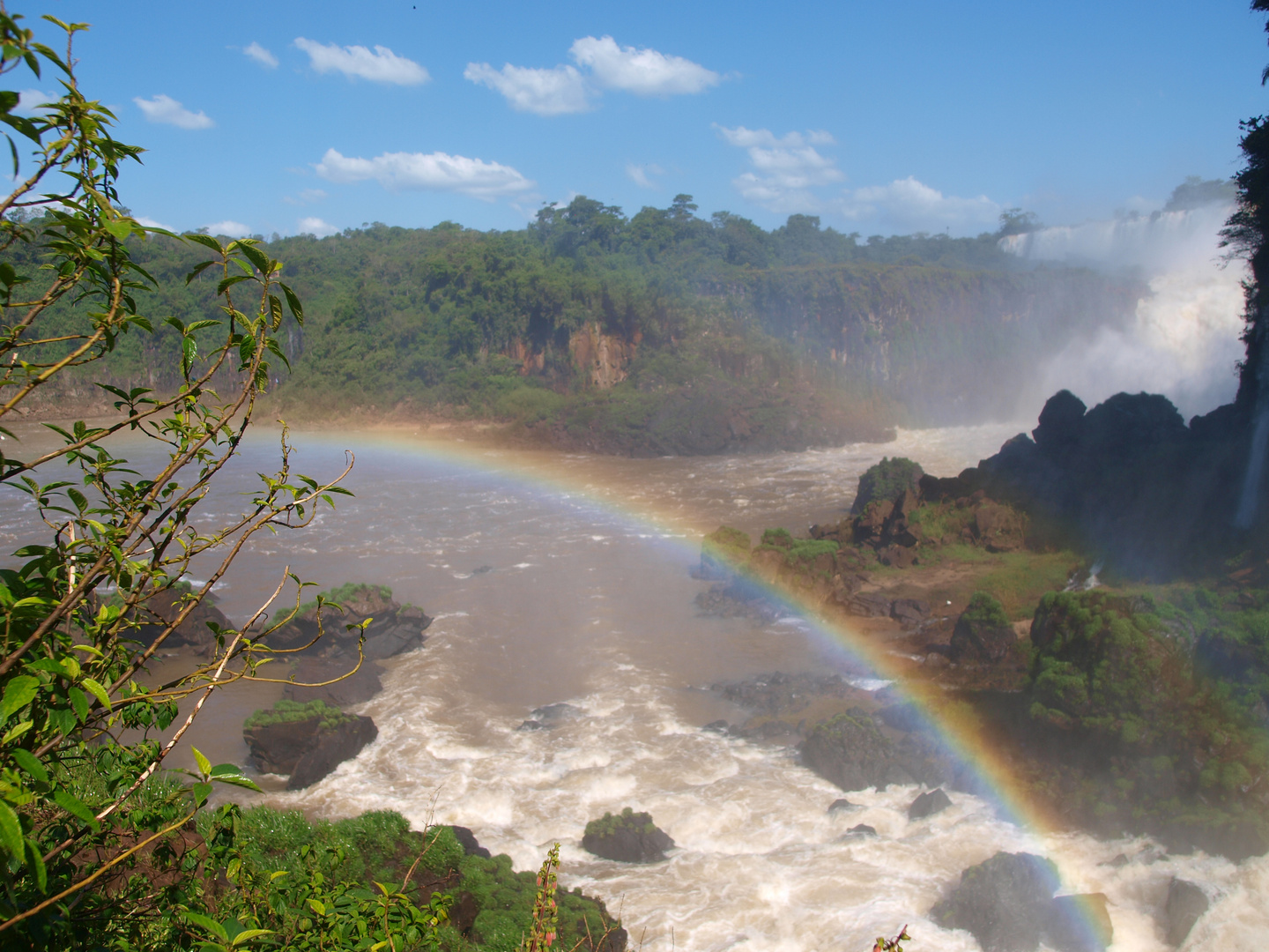 Rio Iguaçu