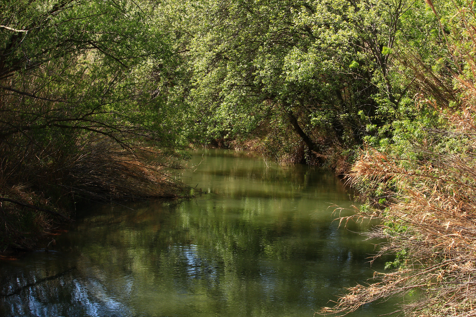 Río Jalón.