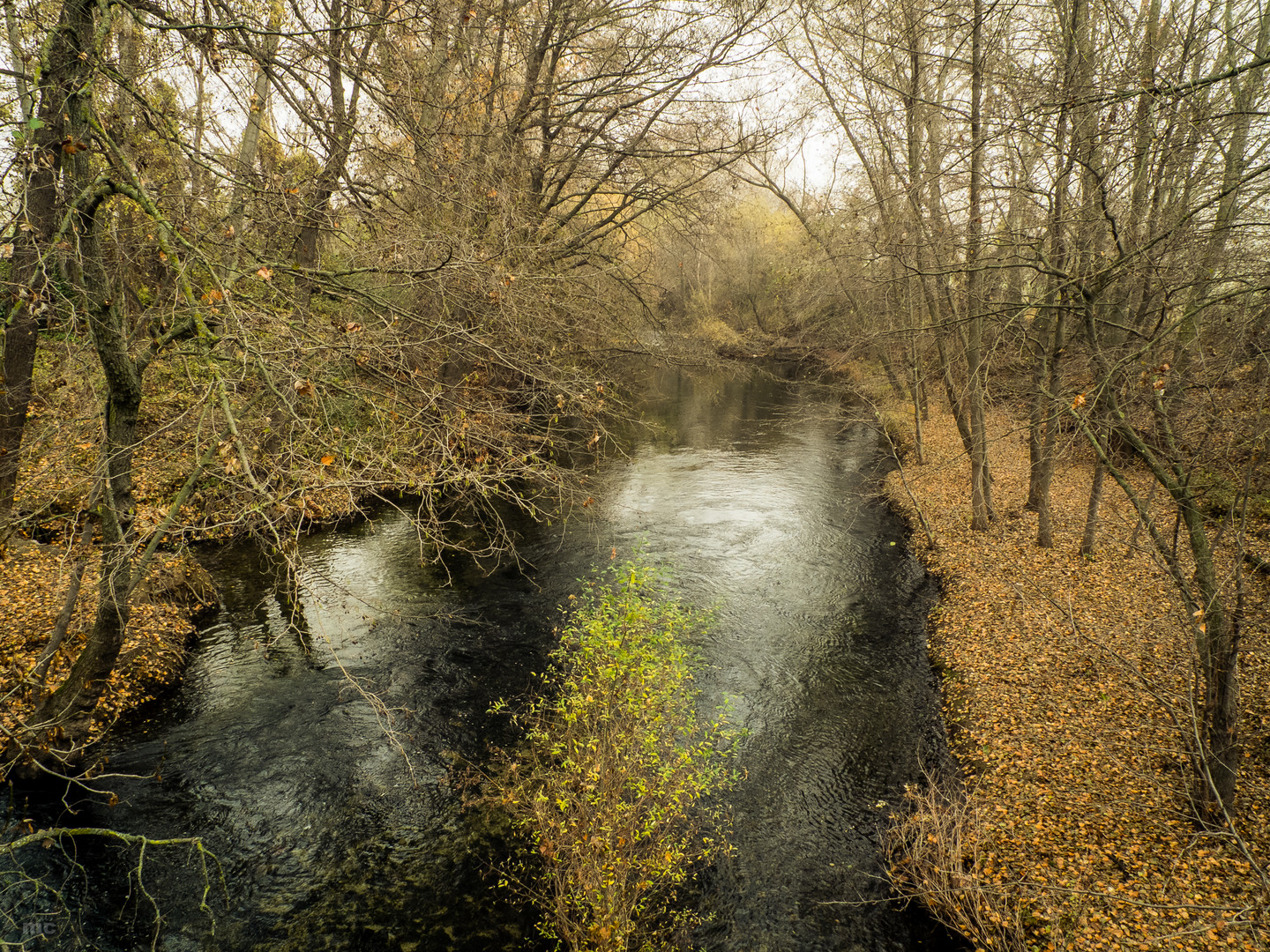 Río Jarama