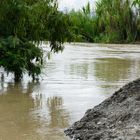 RIO LA VIEJA DESBORDADO - EN CARTAGO VALLE POBLACIÓN VULNERABLE