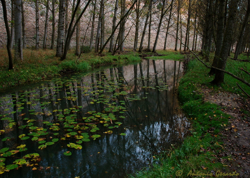 Rio Lobos