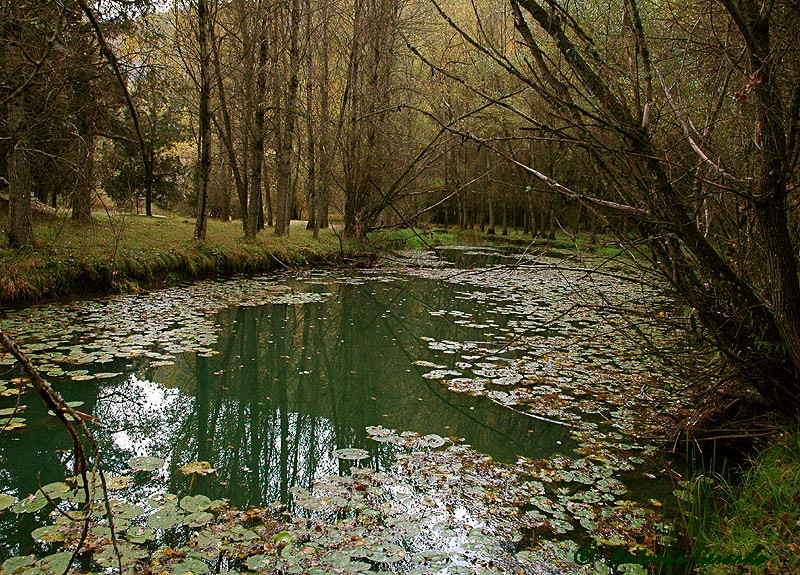 Rio Lobos III