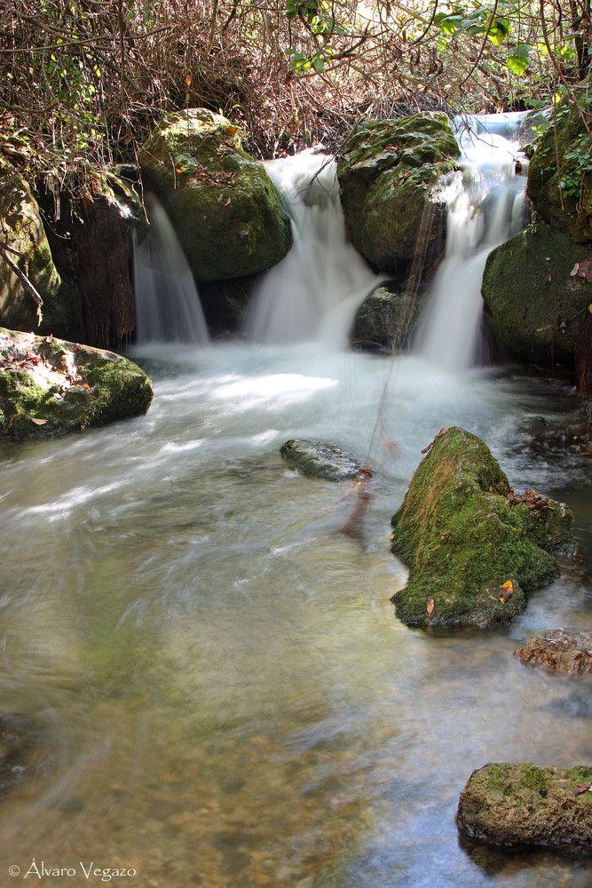 Río Majaceite I