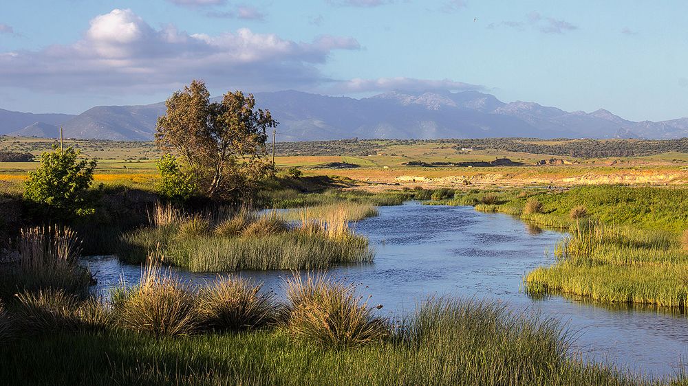 Rio Mannu Foto Immagini pinuccio murgia, paesaggio, fiume Foto su