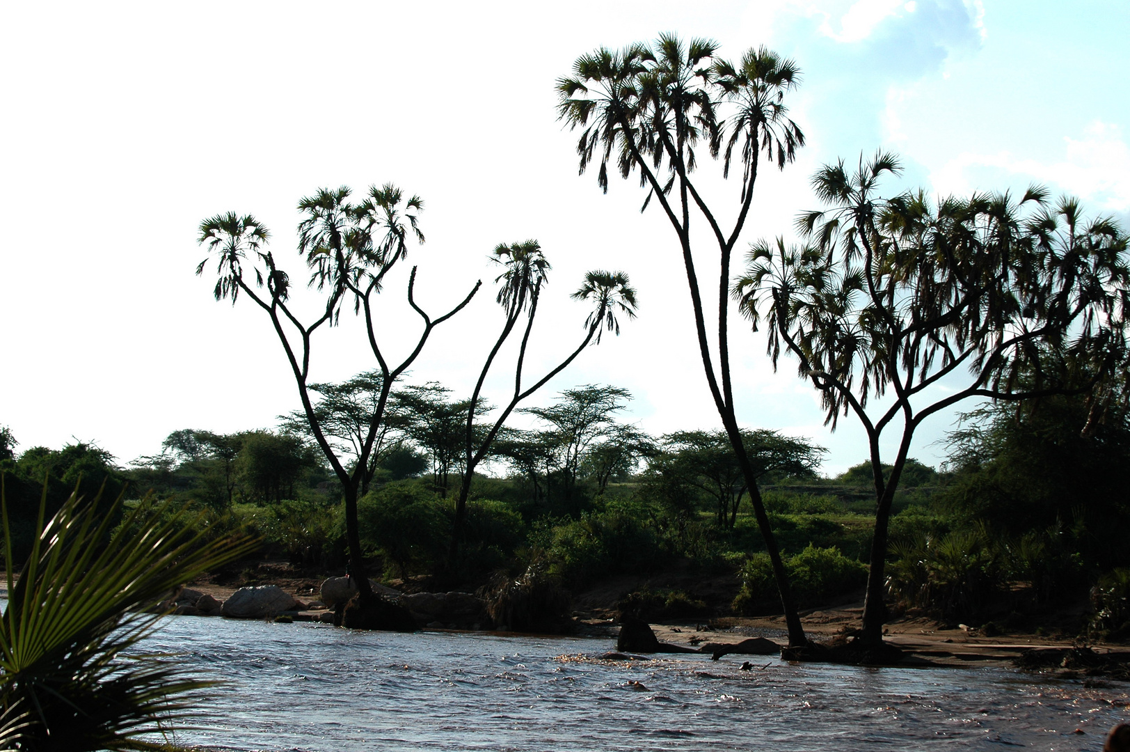 RIO MARA