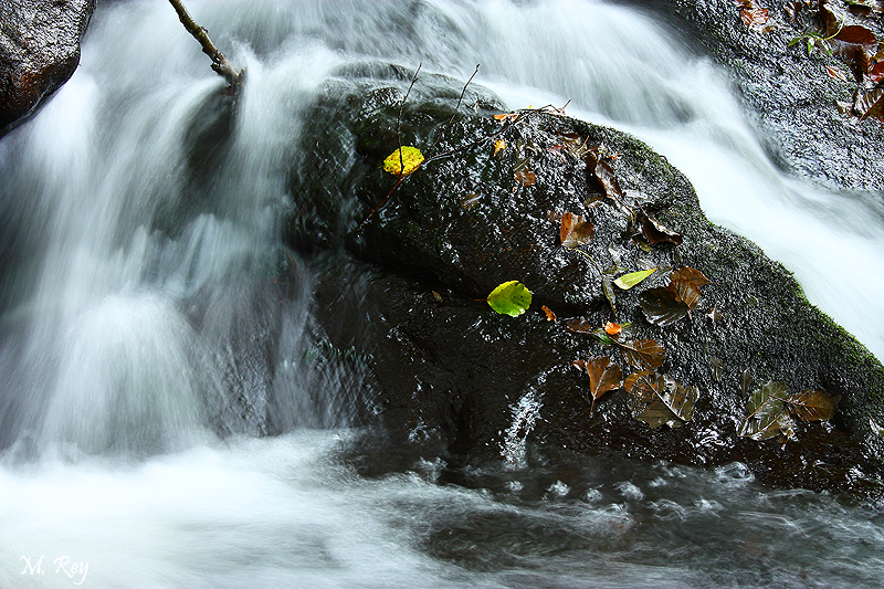 RIO MÁCARA