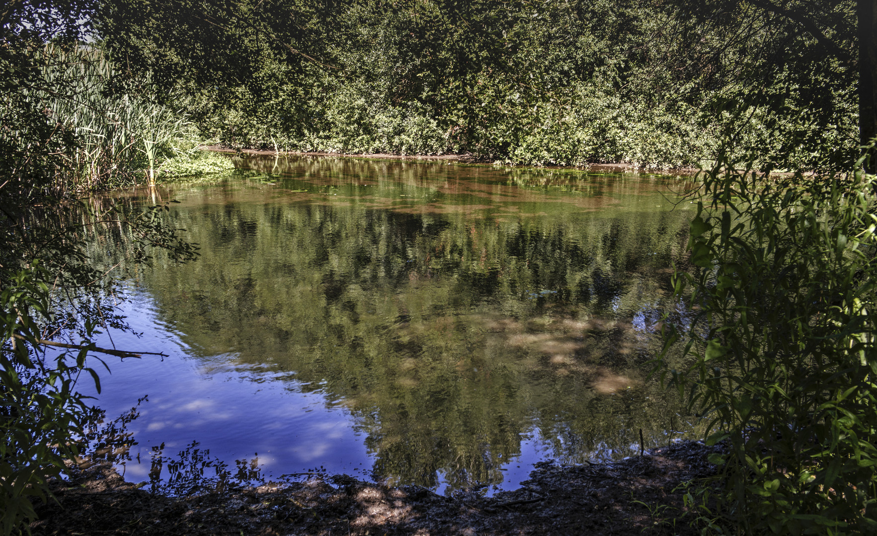 RIO MIÑO