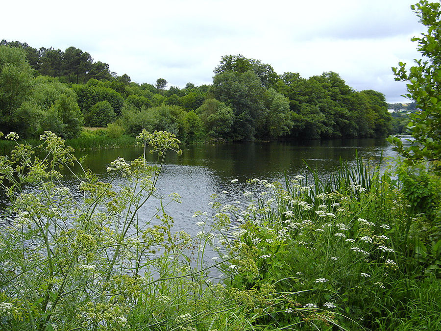 Rio Miño