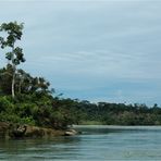 Rio Napo