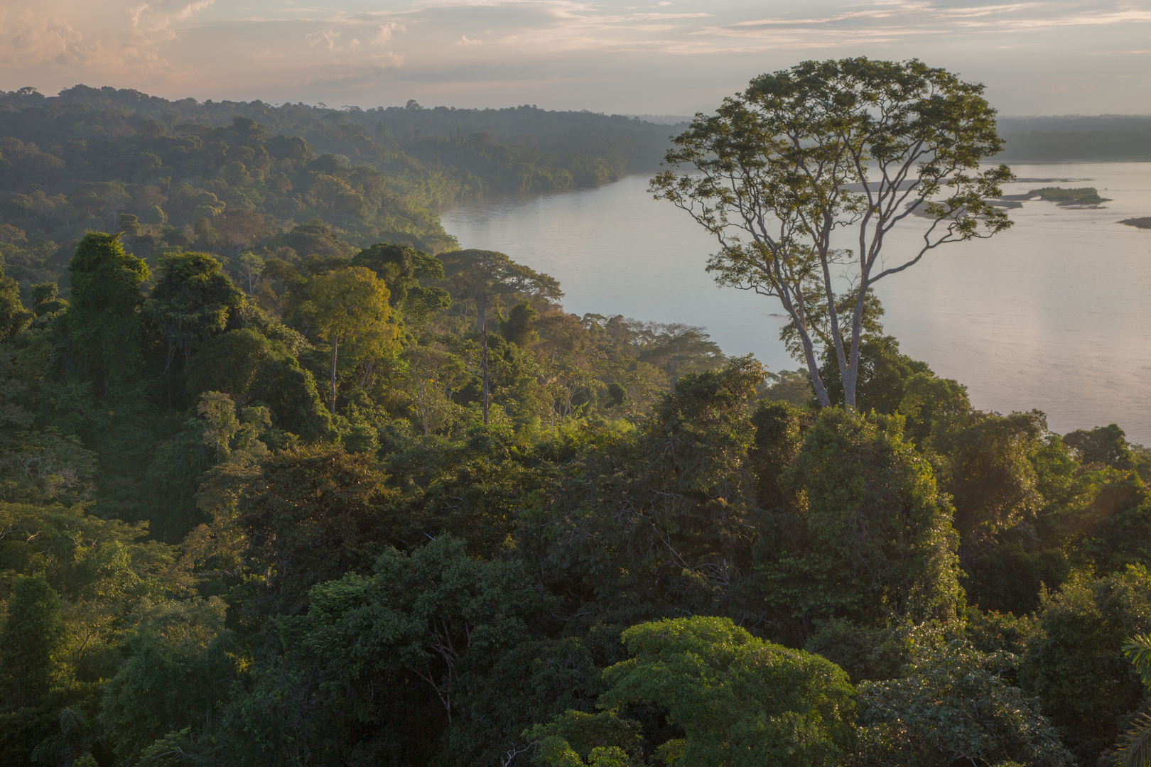 Rio Napo, Ecuador