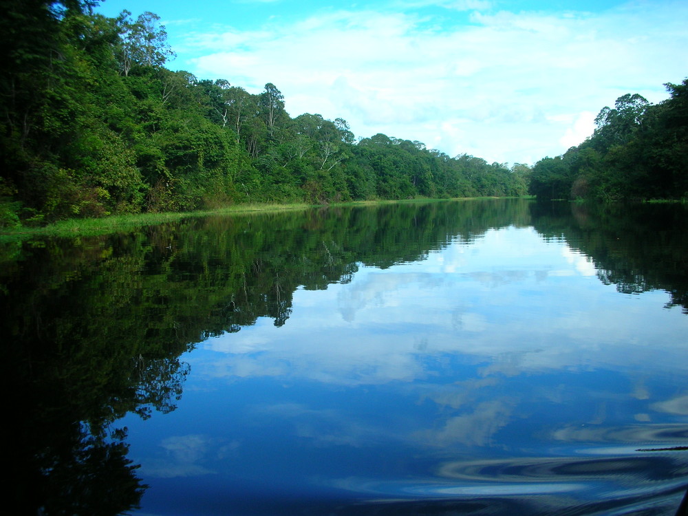 RIO NEGRO AMAZONAS BRASIL