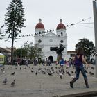 RIO NEGRO ANTIOQUIA