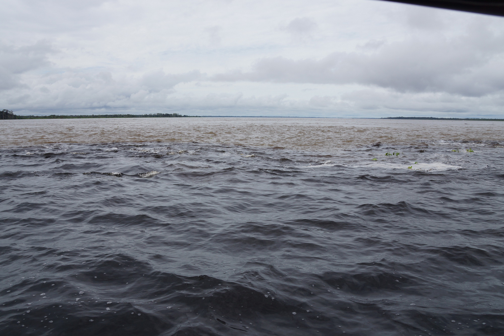 Rio Negro und Amazonas