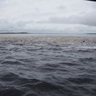 Rio Negro und Amazonas