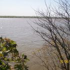 Rio Parana Rosario Argentina