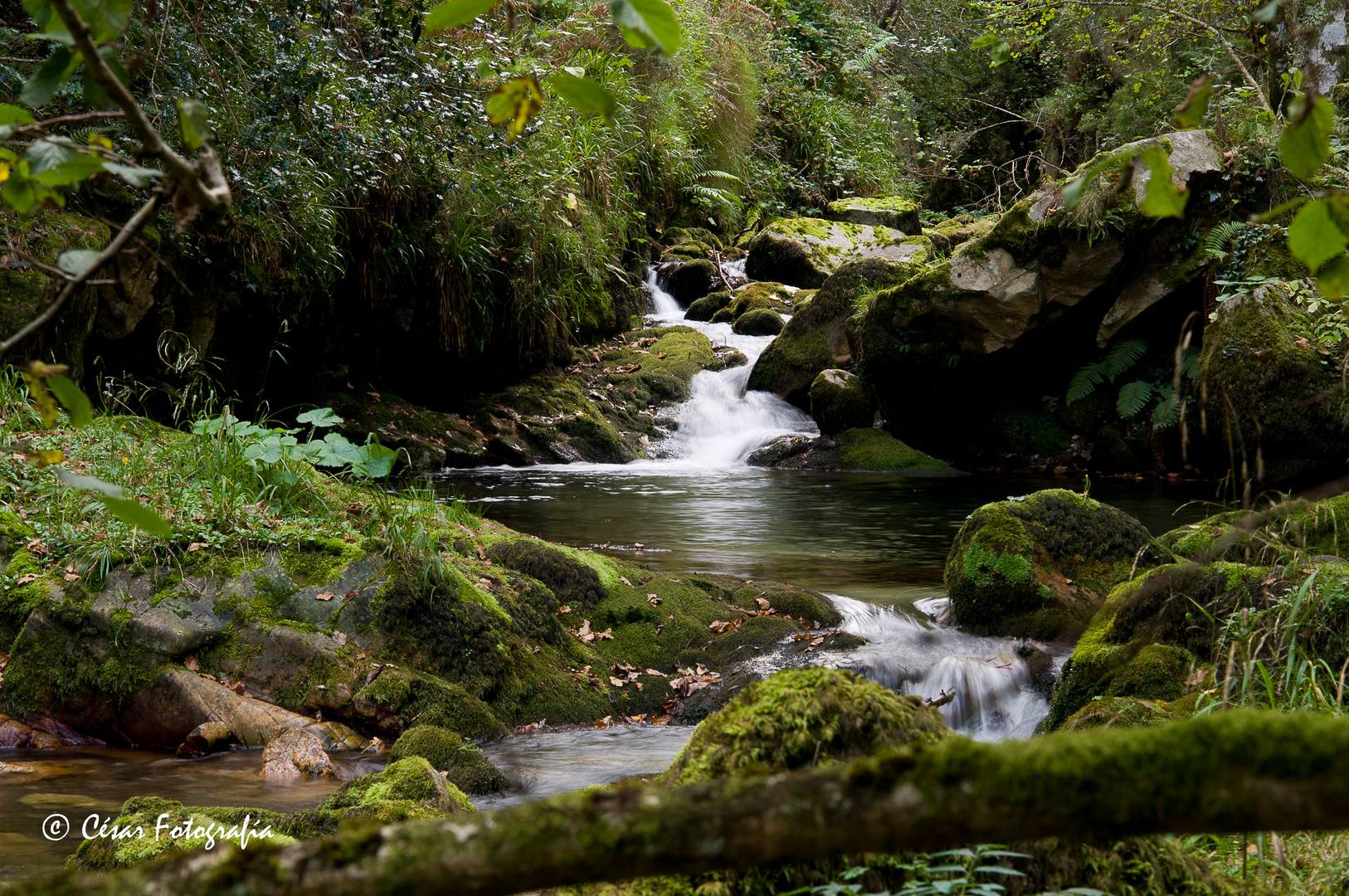 Rio Pendón