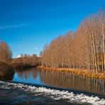 Rio Pisuerga a su paso por Salinas.