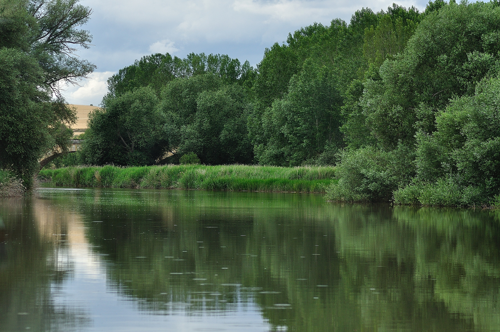 Rio Pisuerga