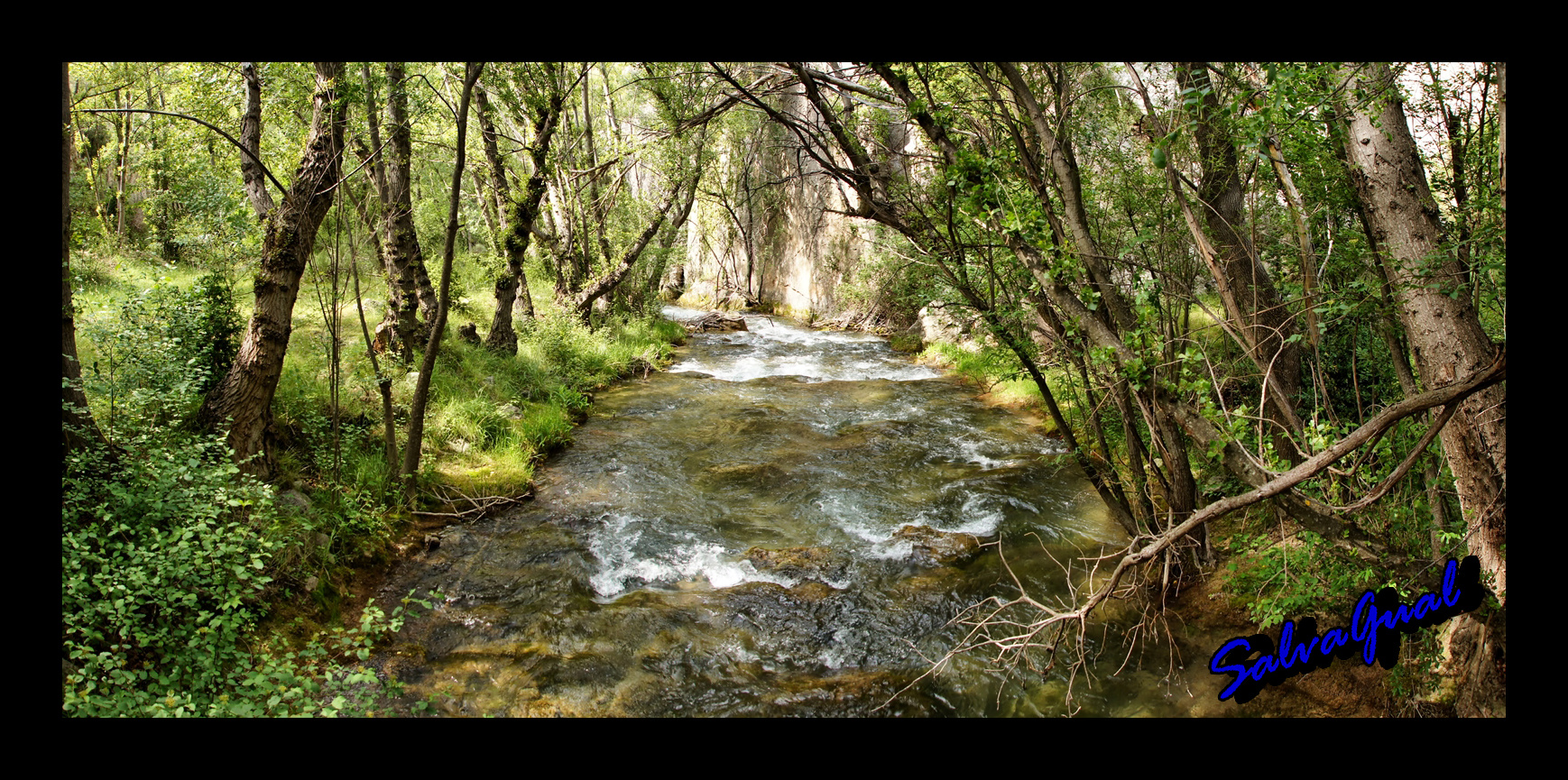 RIO PITARQUE