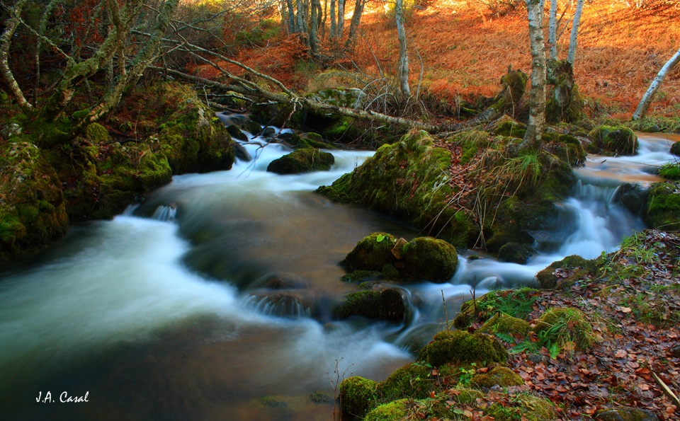 Rio Porma