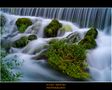 Río Queiles (Soria) de Segura Carmona 