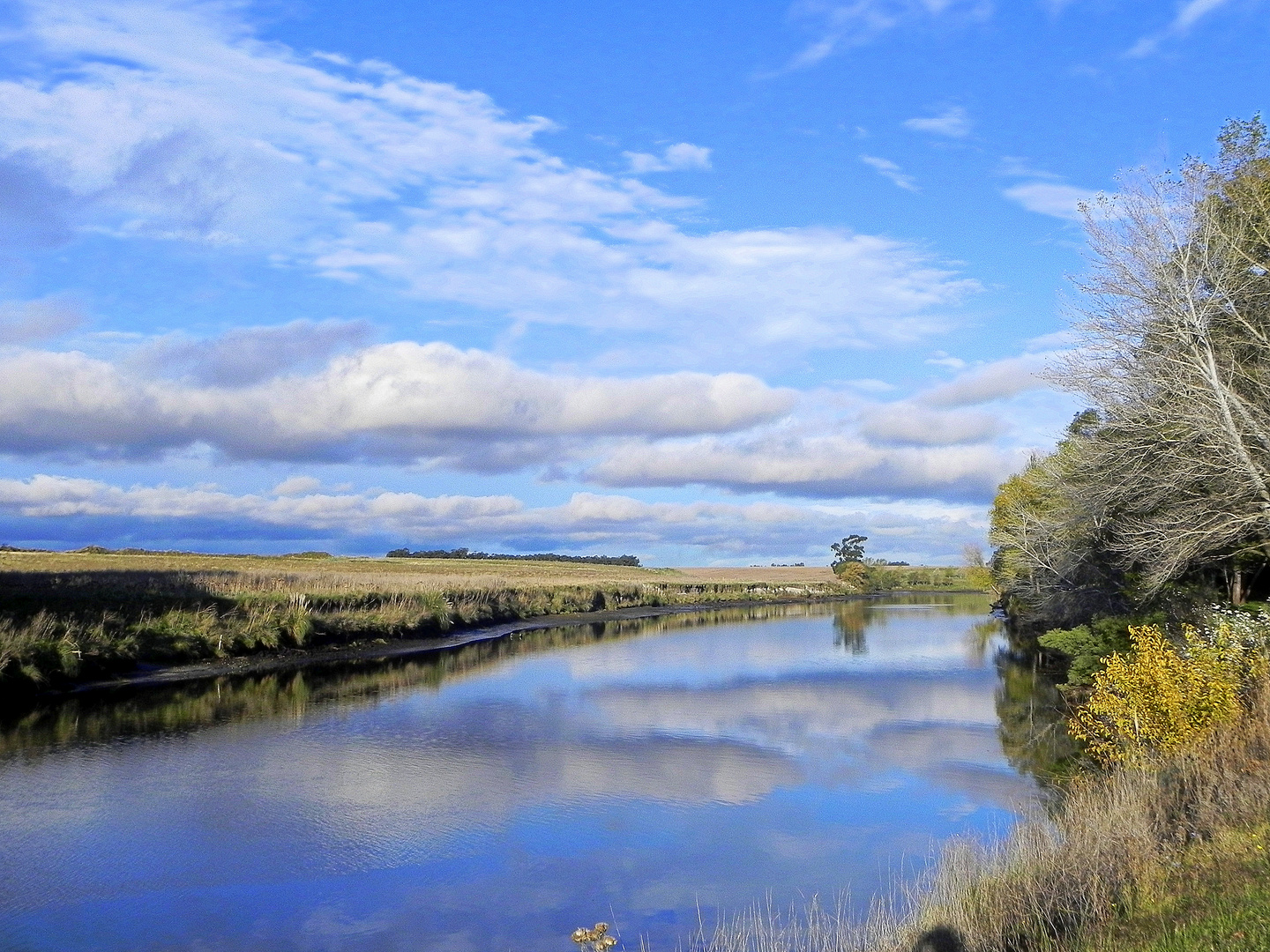 RIO QUEQUEN,ENFRENTE DEL CAMPO