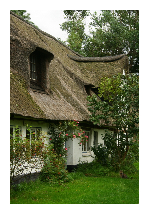 Rio Reiser Haus Fresenhagen