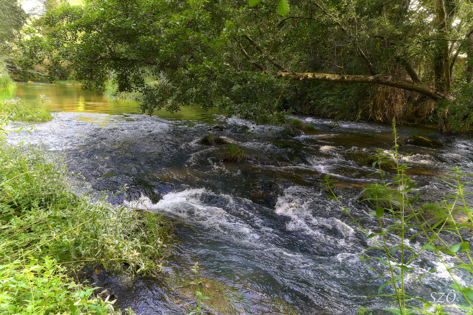 Río Revuelto