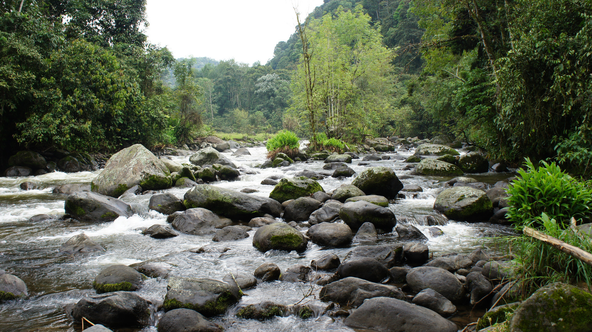 RIO ROCOSO