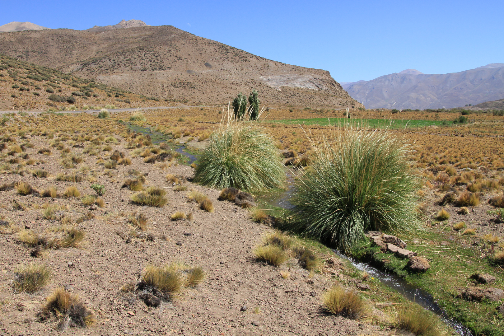 Rio Salado 2 (Provinz Mendoza/Argentinien)