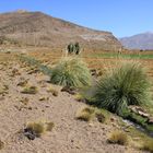 Rio Salado 2 (Provinz Mendoza/Argentinien)