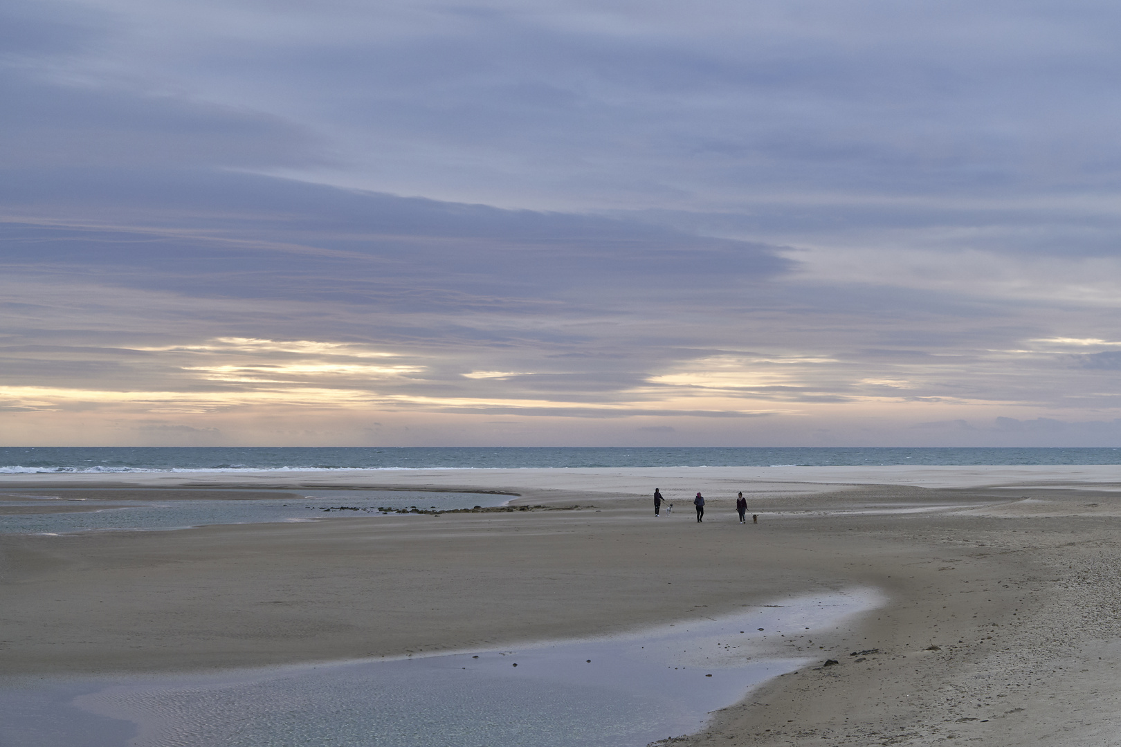 Rio Salado Foto & Bild monatswettbewerbe, 2022, 01 weiß Bilder auf