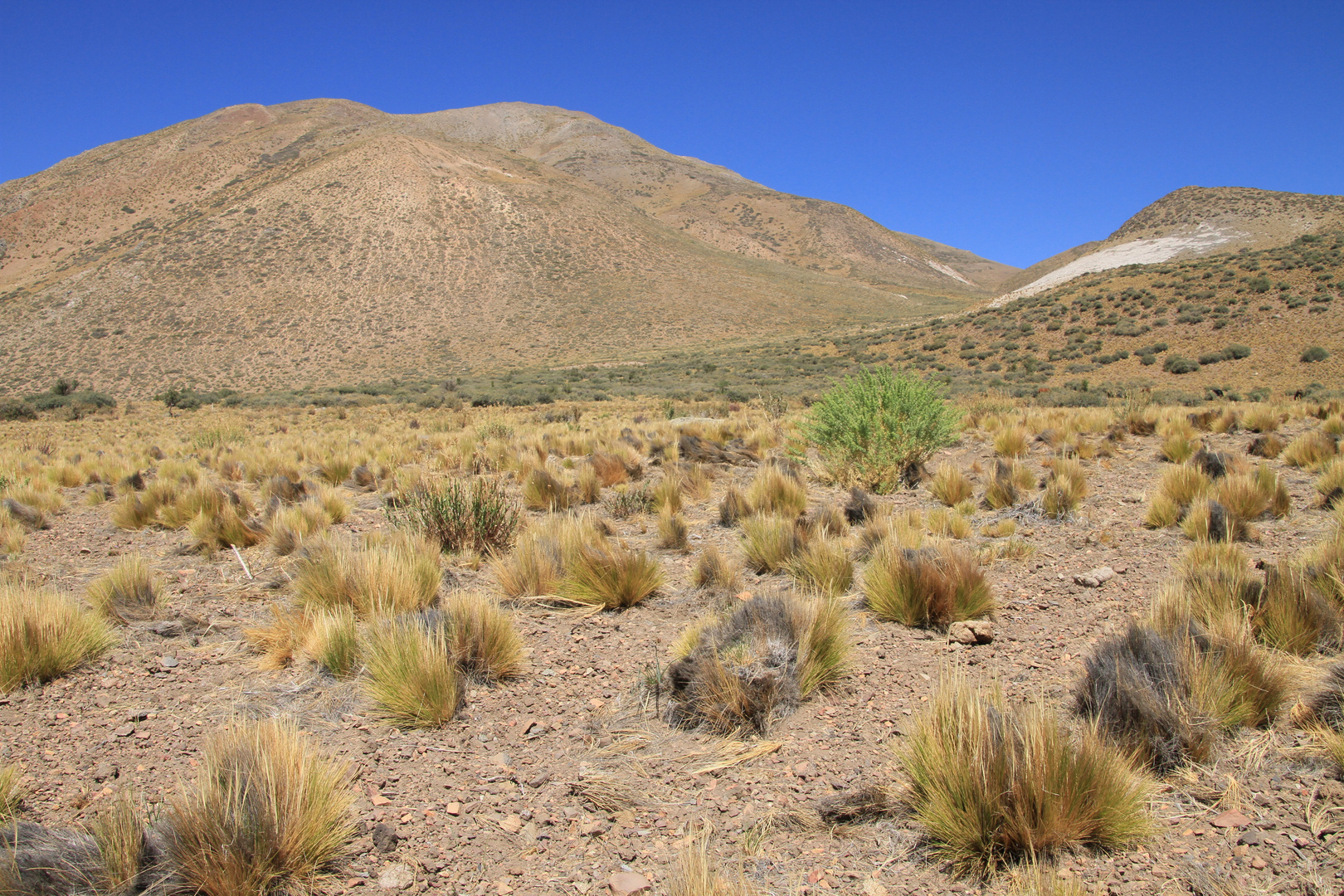 Rio Salado (Provinz Mendoza/Argentinien)