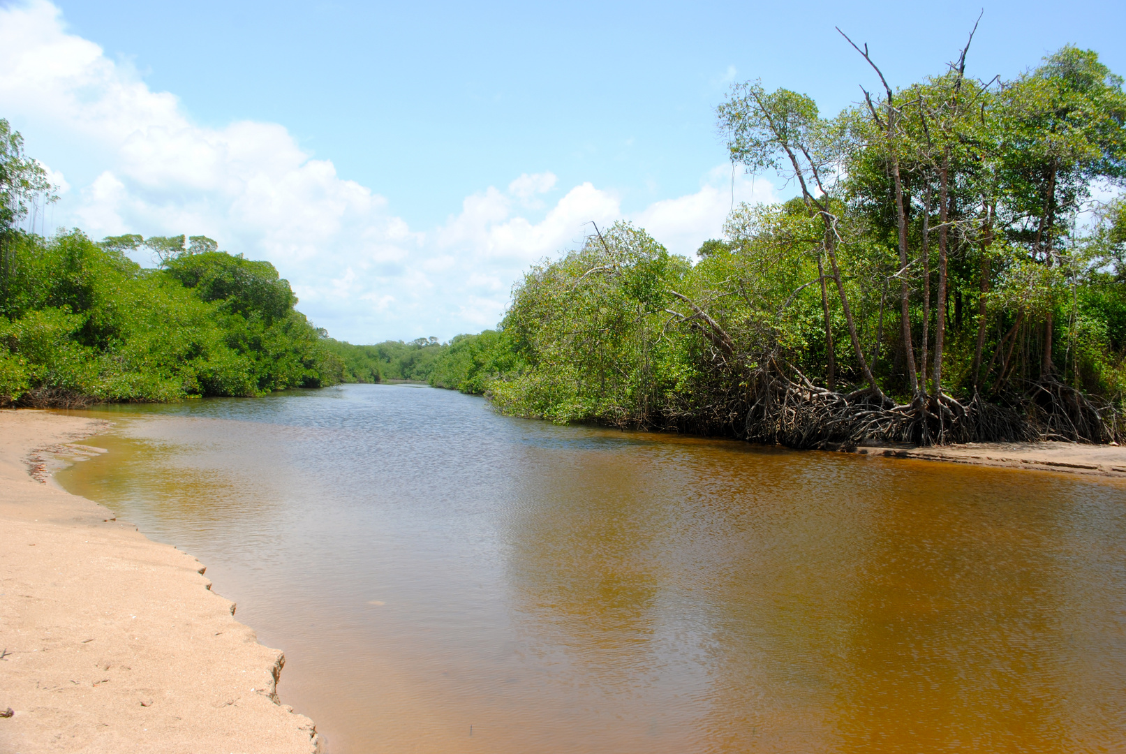 Rio San Pedro- Venezuela