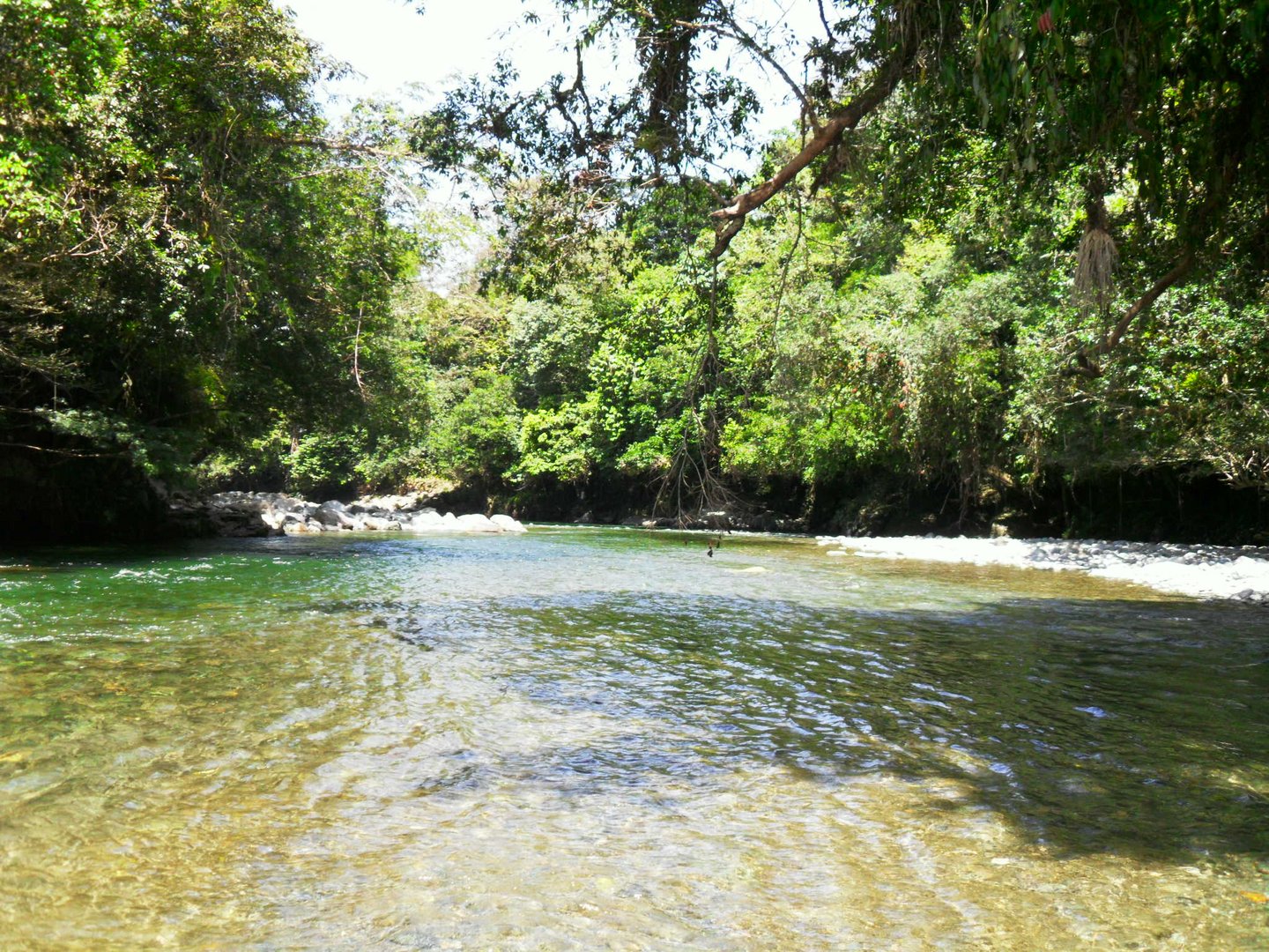 rio santo domingo