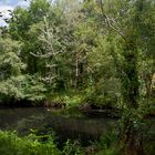 Río Sar en Vidaloiso