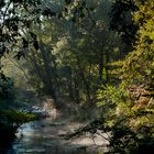 Río Sar en Vidaloiso