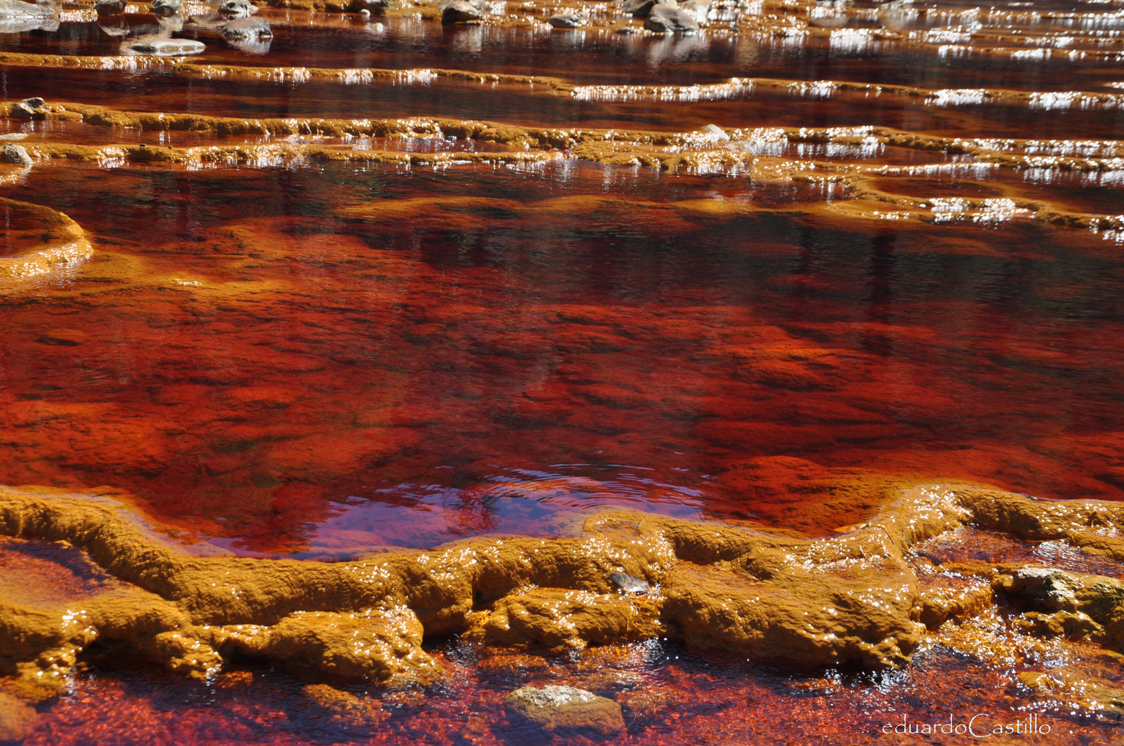 Río sin vida, río Tinto