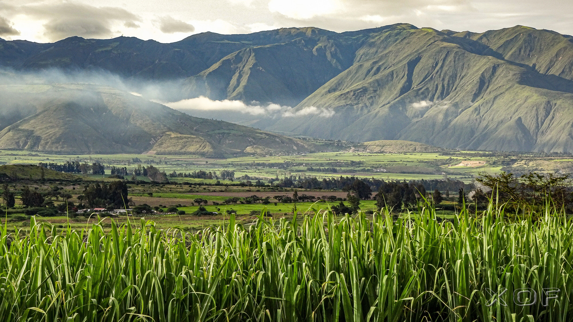 Rio Tahuando Valley