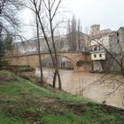 Rio Tajo en Trillo