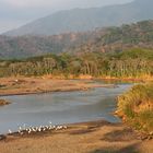 Rio Tarcoles im Nachmittagslicht..., Costa Rica