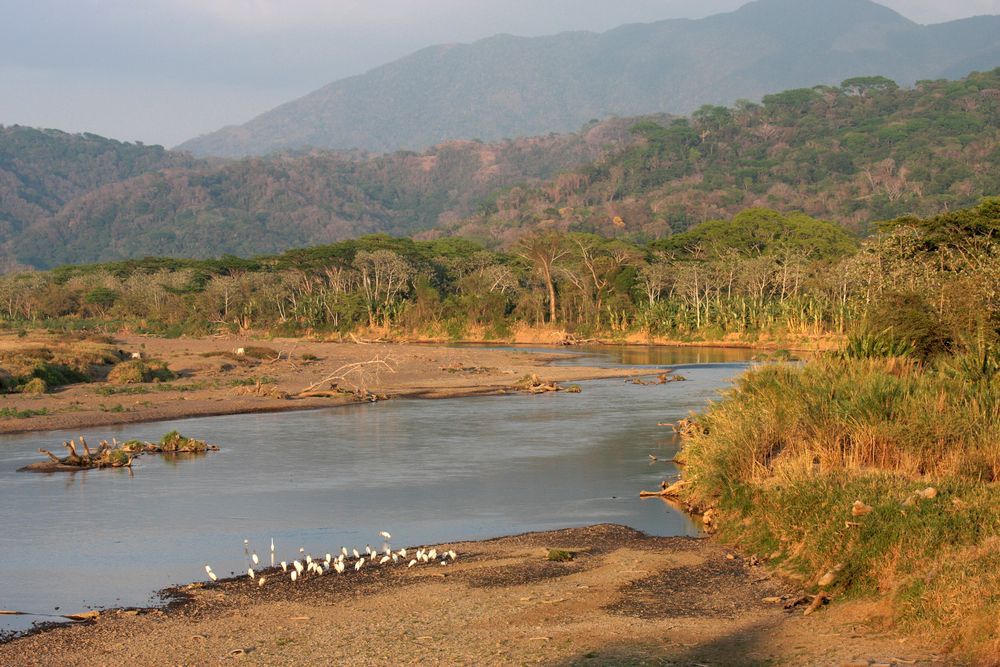 Rio Tarcoles im Nachmittagslicht..., Costa Rica