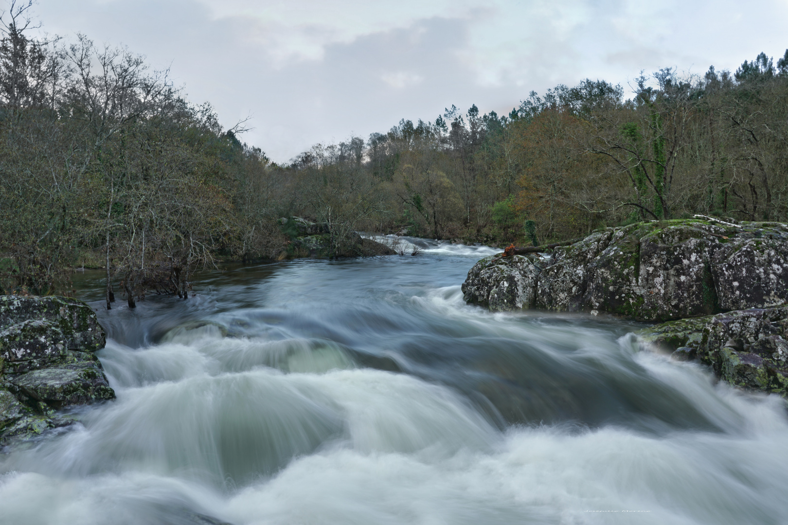 río Tea