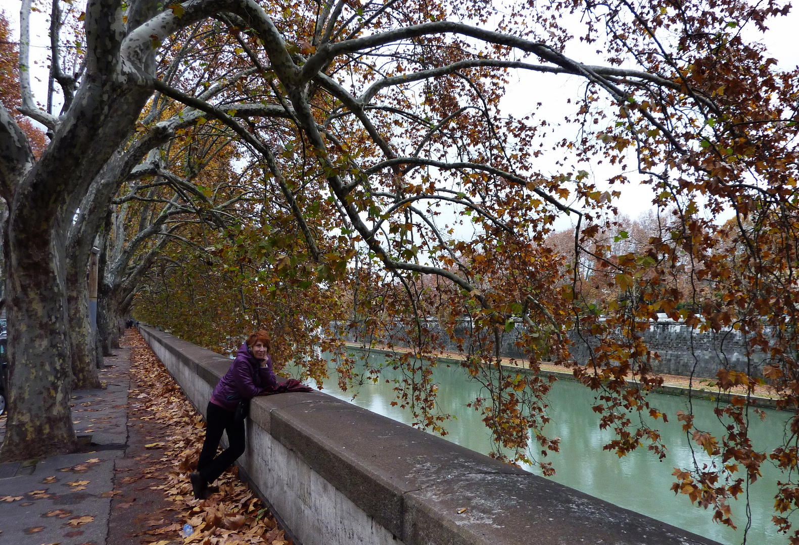 RIO TIBER