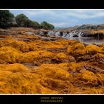 Río Tinto (Calcopirita)