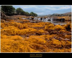 Río Tinto (Calcopirita)