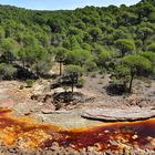 Rio Tinto...Fluß ohne Leben