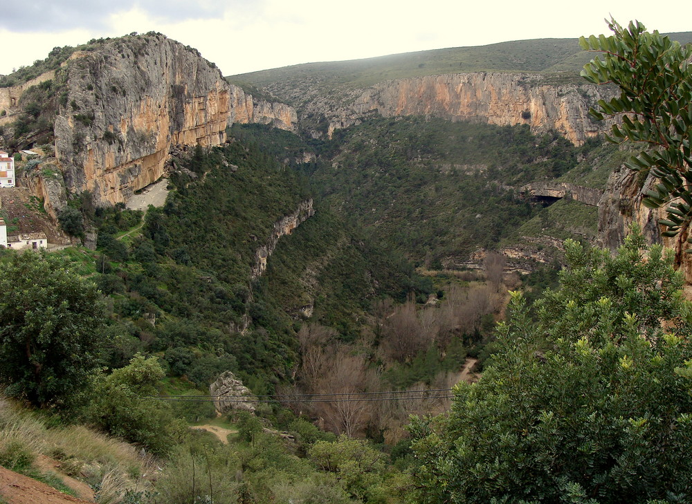 Rio Turia (Valenciana)