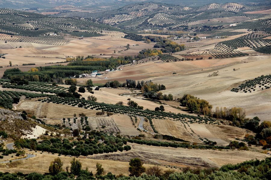 Río Velillos